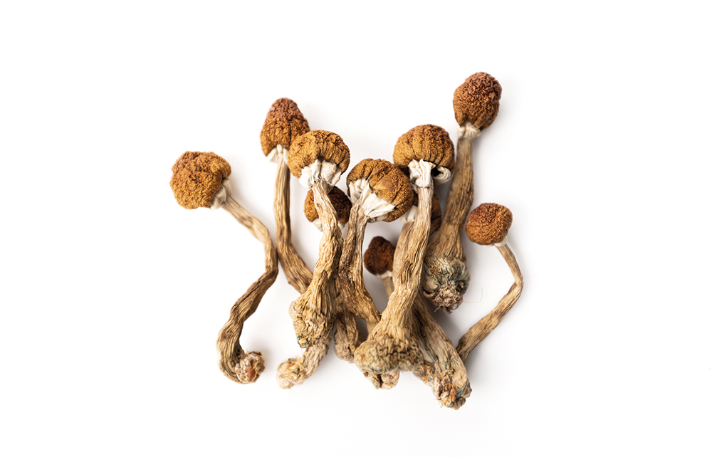 magic mushroom spores in Oregon - how to grow magic mushrooms in the city of Eugene - magic mushrooms for sale in Gresham.